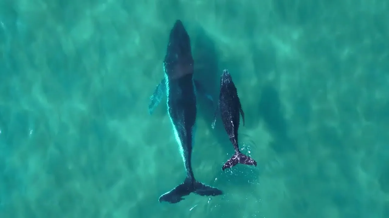 Paradise Awaits: Welcome to Maui
